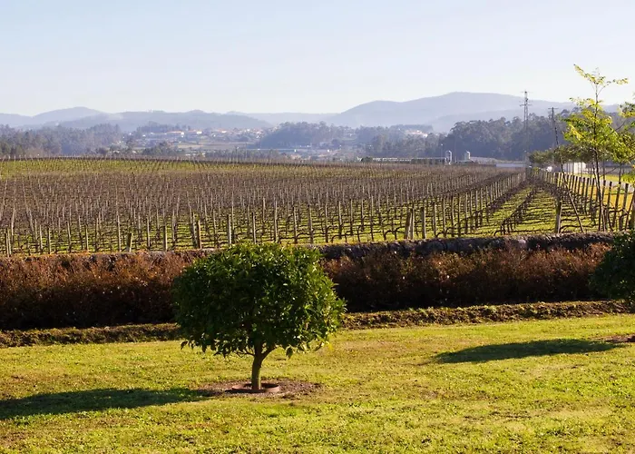 Отель Solar De Mea Барселуш